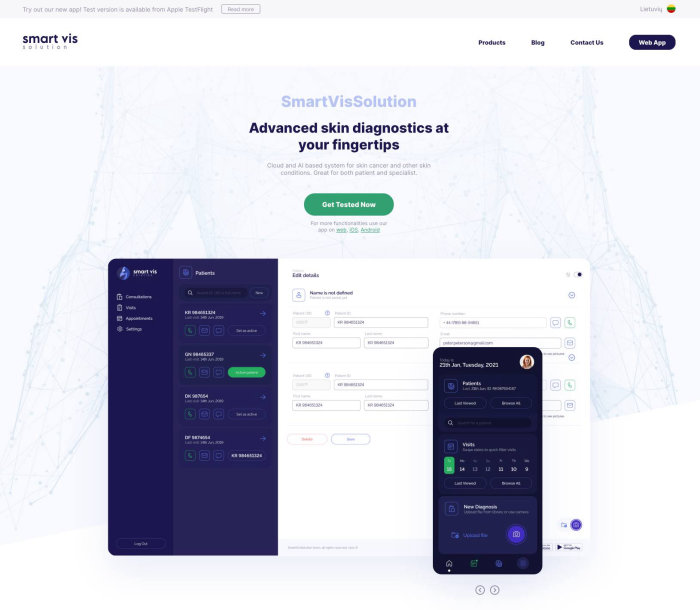 SmartVisSolution - index page